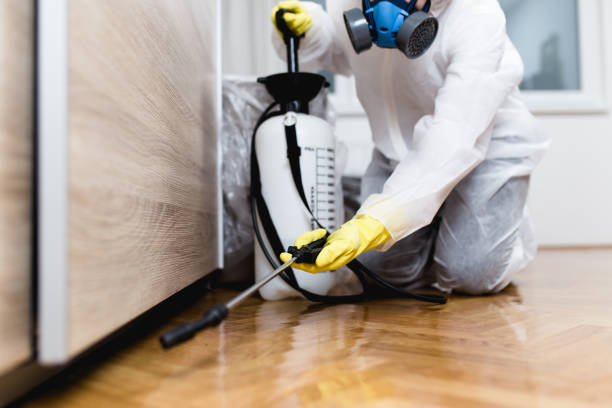 Trusted Akron, PA Pest Control Experts
