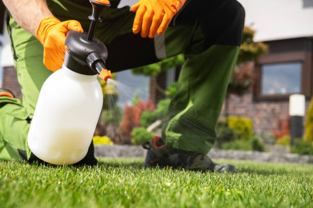 Pest Prevention Services in Akron, PA