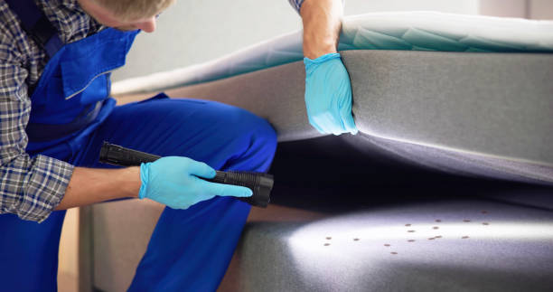 Best Mosquito Control Services  in Akron, PA