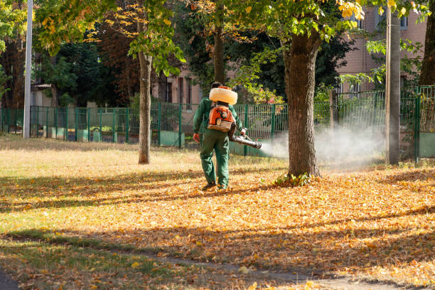 Flea Control Services in Akron, PA